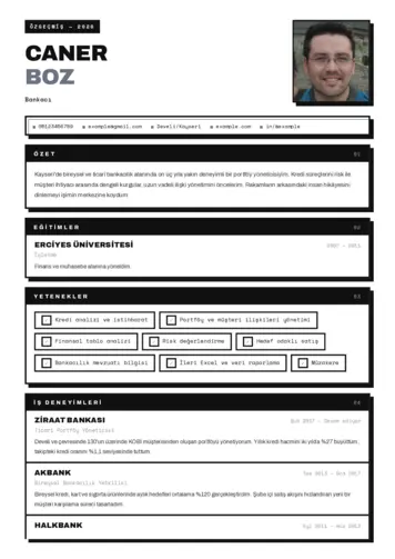 Bankacı CV Örnekleri cv indir